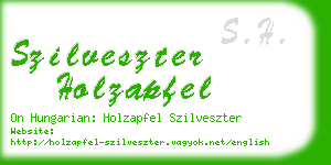 szilveszter holzapfel business card